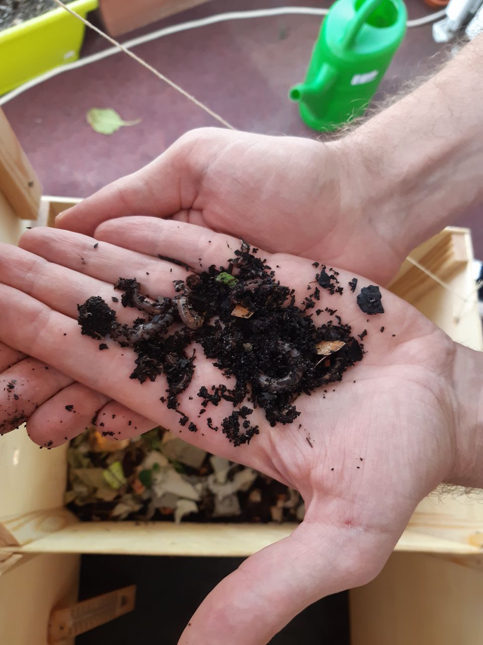 Kompostwürmer auf einer Hand
